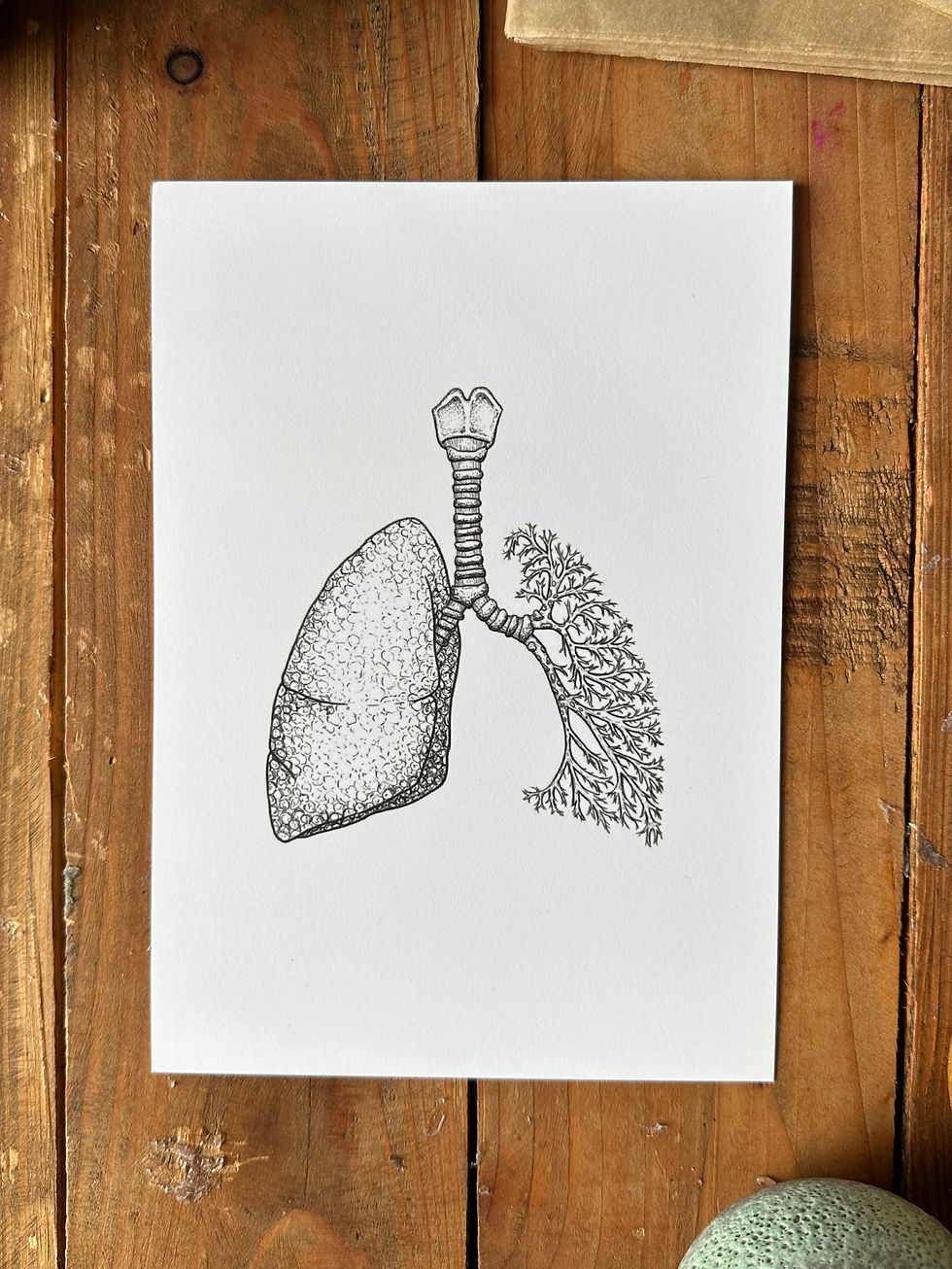 Thumbnail: Lung Anatomy Print