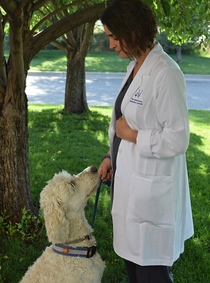 The Veterinary Behavior Center- Dr. Fagen