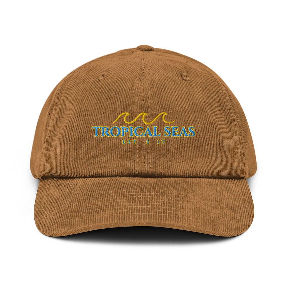 Thumbnail: Triple Wave Corduroy Hat