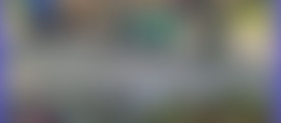 Polícia Ambiental prende oito pessoas em Manacapuru suspeitas de desmatamento ilegal