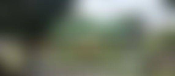 Justiça atende pedido do MP e suspende Festa do dia dos Pais em Novo Airão