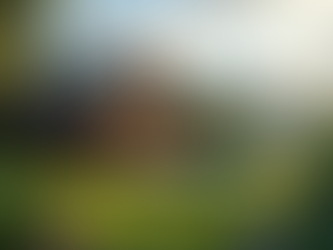 Consejos para Diseñar una Casa Moderna Tropical en Costa Rica