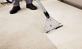Carpet cleaning services