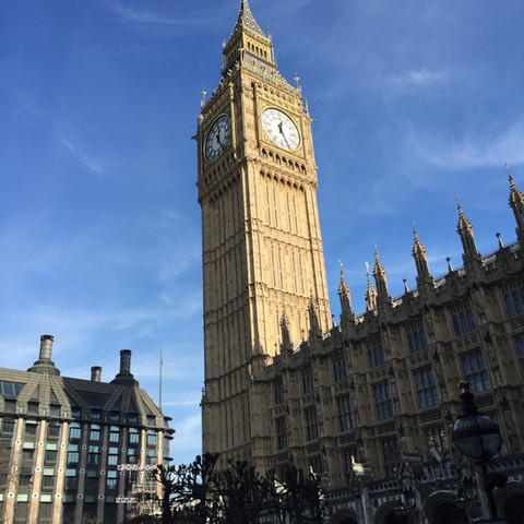 Photo Feb 11, 7 25 50 AM.jpg