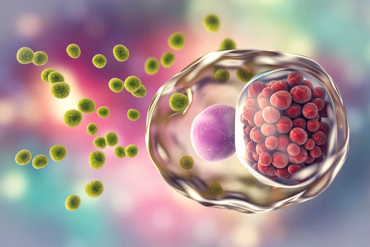 Sexually Transmitted Infections (STI) Screenings