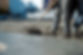 AdobeStock_488029180.jpeg