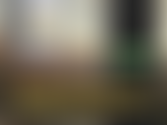 Off Grid 240v vs 12v Fridge showdown!