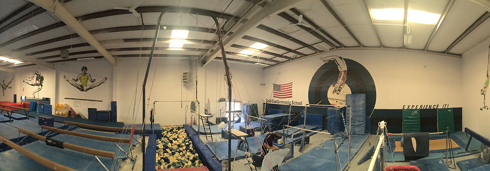 albuquerque gymnastics, abq gymnastics, fitness classes albuquerque, new mexico gymnastics, gymnastics in albuquerque, gold cup gymnastics, gold cup gym, ed burch
