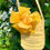 Thumbnail: Mellow Yellow