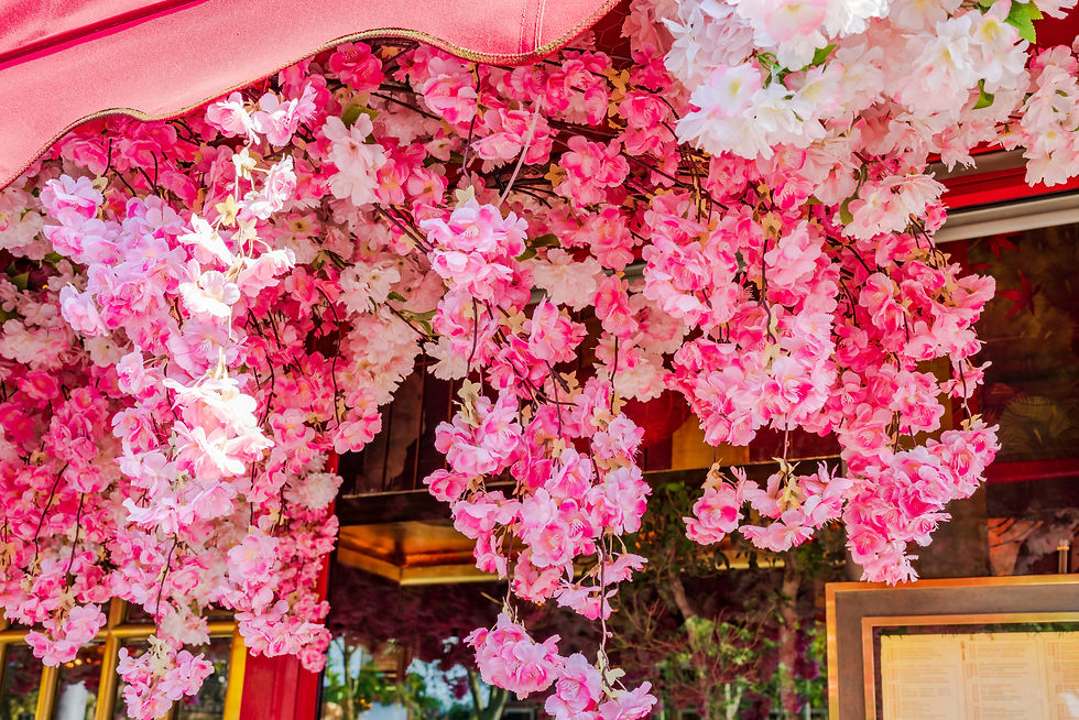 RHS Chelsea Flower Show 2026