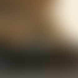 Luxury car ready for VIP guests in Romania