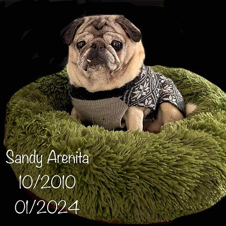 Sandy