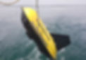 wing.jpg