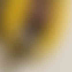 A DIY / workshop kit that features a Sunflower and bee design