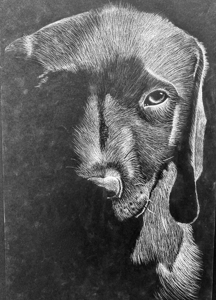White Pencil