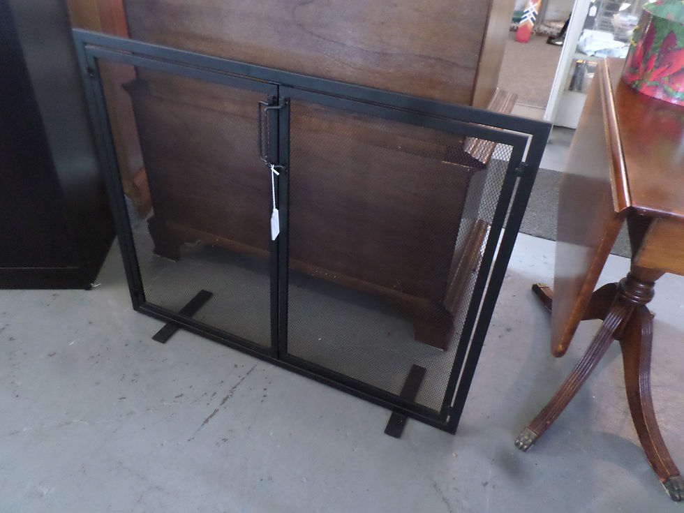 Fireplace Screen $55