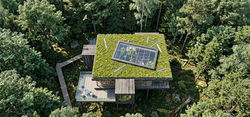 paul-reed-architects-stilt-house-in-trees-3