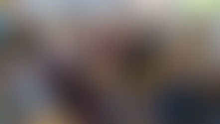 Imkerverein Kirchham im Kindergarten