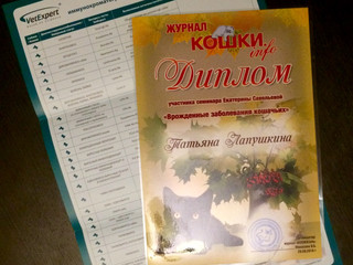 Авторский семинар Е.С. Савельевой "Врожденные заболевания кошачьих"