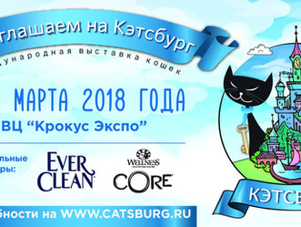 03-04 марта 2018 г. Москва. Международная мультисистемная выставка кошек "КЭТСБУРГ-2018" (