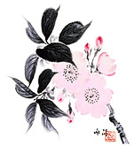Logo I.I. sakura PDF-1.jpg