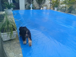 Capa para Piscina