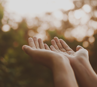 Hands giving at sunrise