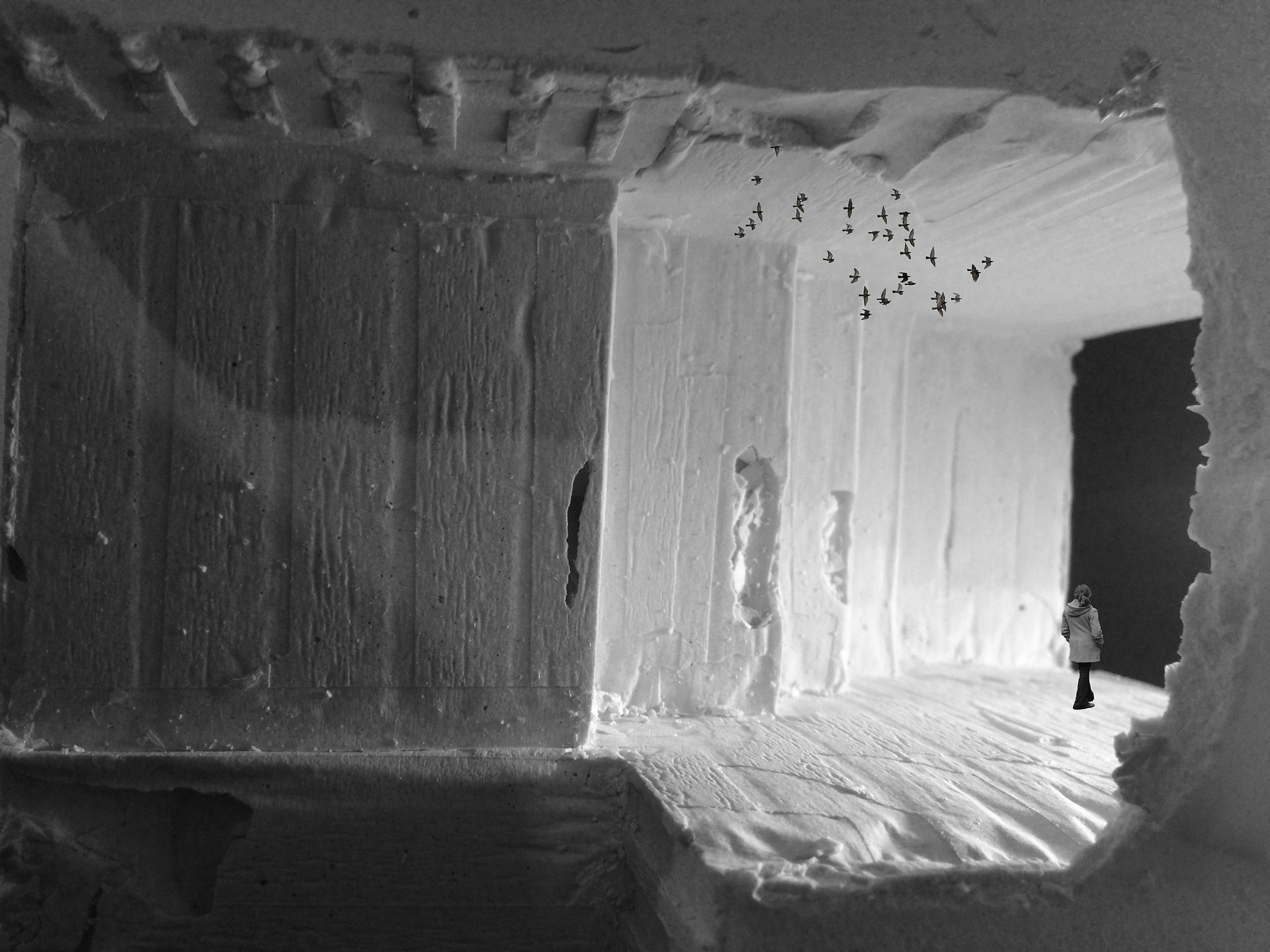 Plaster Cast, Abandonment Marie Ciarleglio