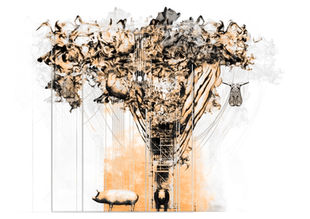 Disease and efficiency