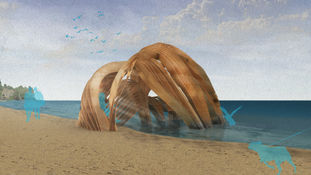 Week 01// 28/01-03/02