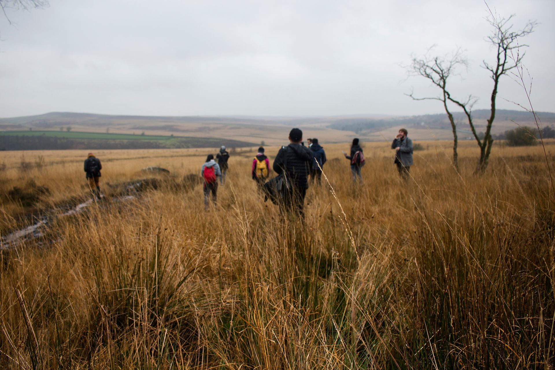 Walking in the Peak District