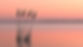 Untitled design-2.jpg