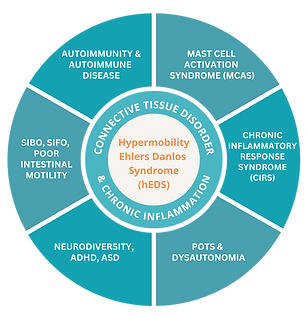 Ehlers-Danlos Syndrome & Hypermobility Support | Autoimmune Clinic