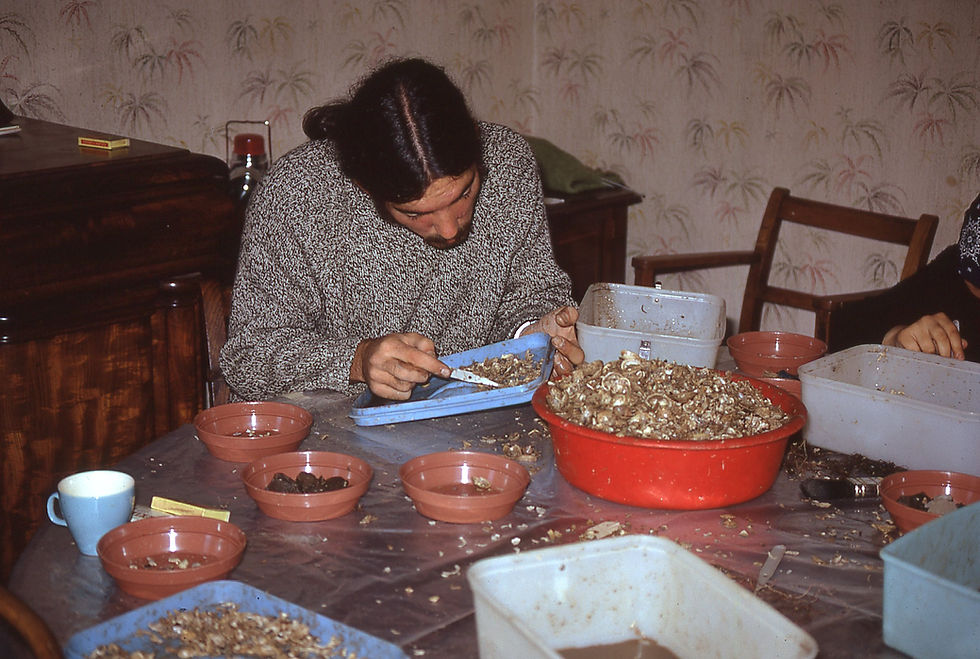 Sorting