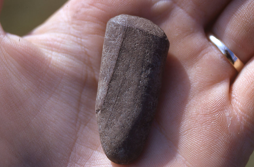 Limpet Scoop