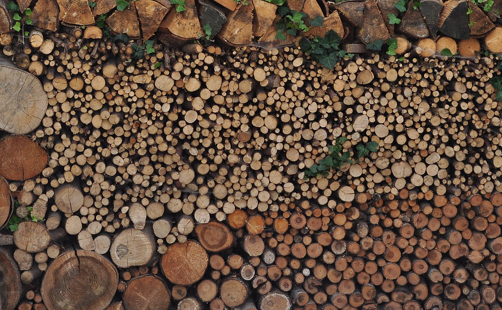 Firewood Art-Bavaria