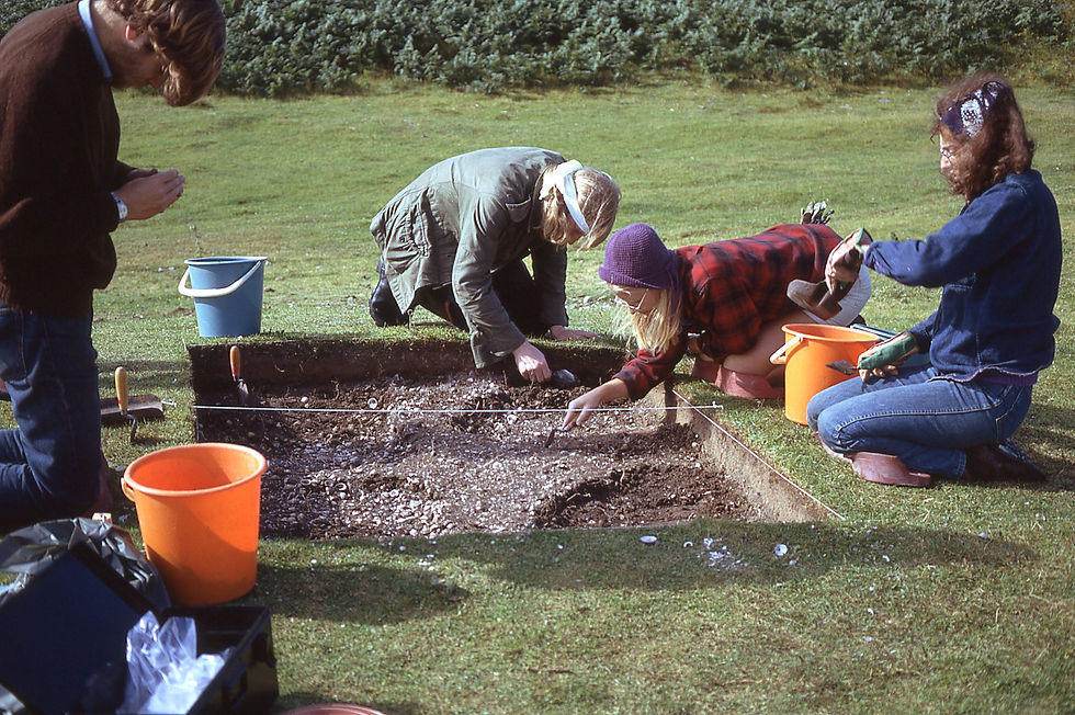 Excavating the Midden