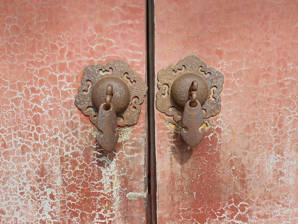 China Door 3