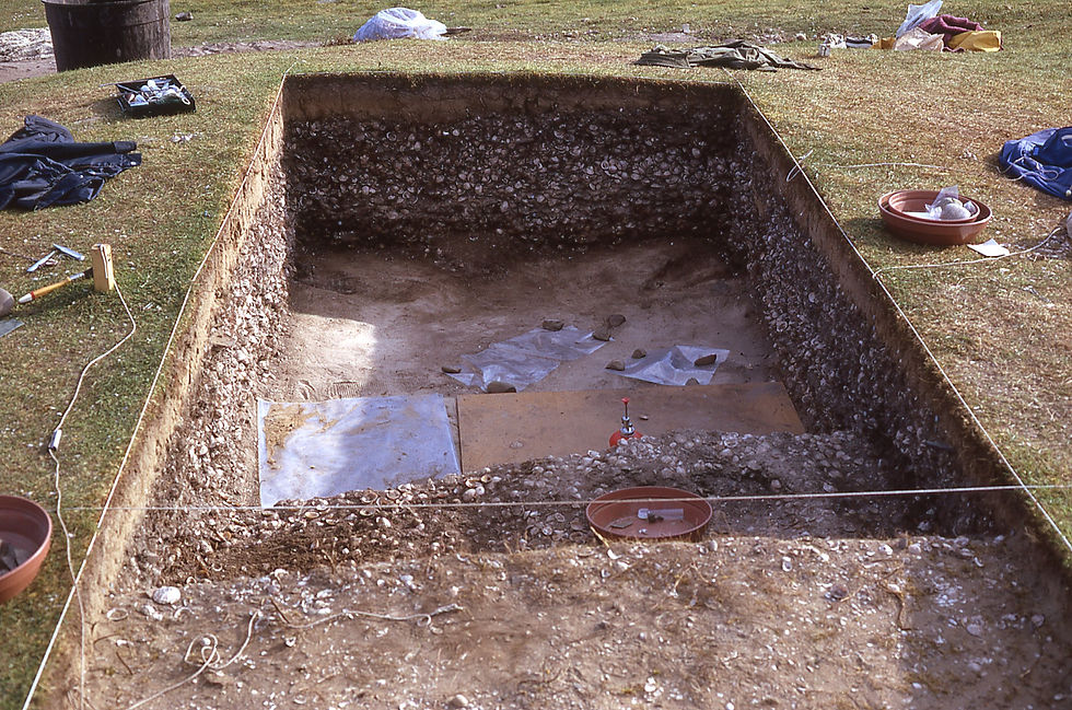 Excavating the Midden