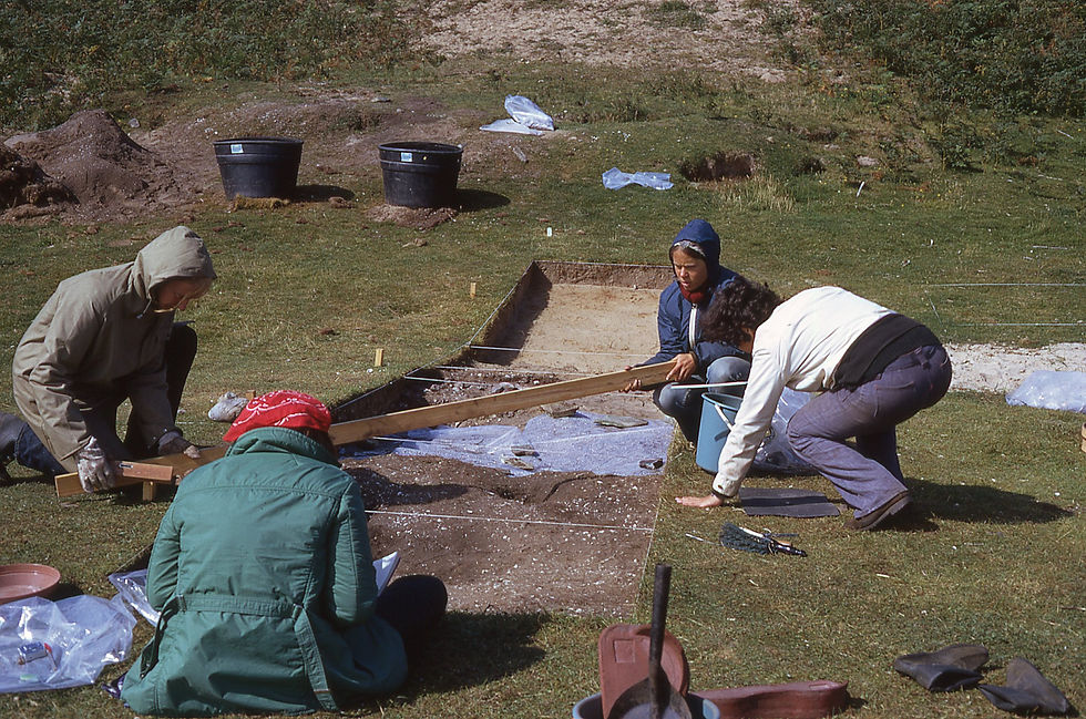 Excavating the Midden