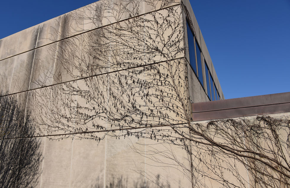 UChicago-Art History Building