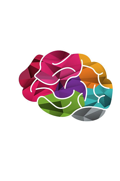 Brain Wesbite.jpeg