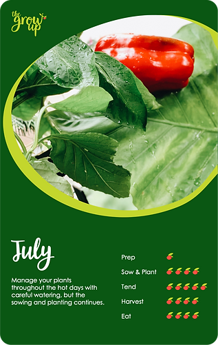 07-JULY (1).png