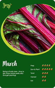 03-MARCH.png