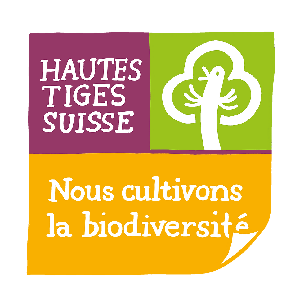 Haute-Tiges-Suisse-Logo-Grafik-farbig.png