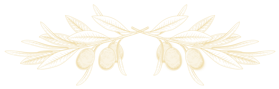 harvest-divider_cream.png