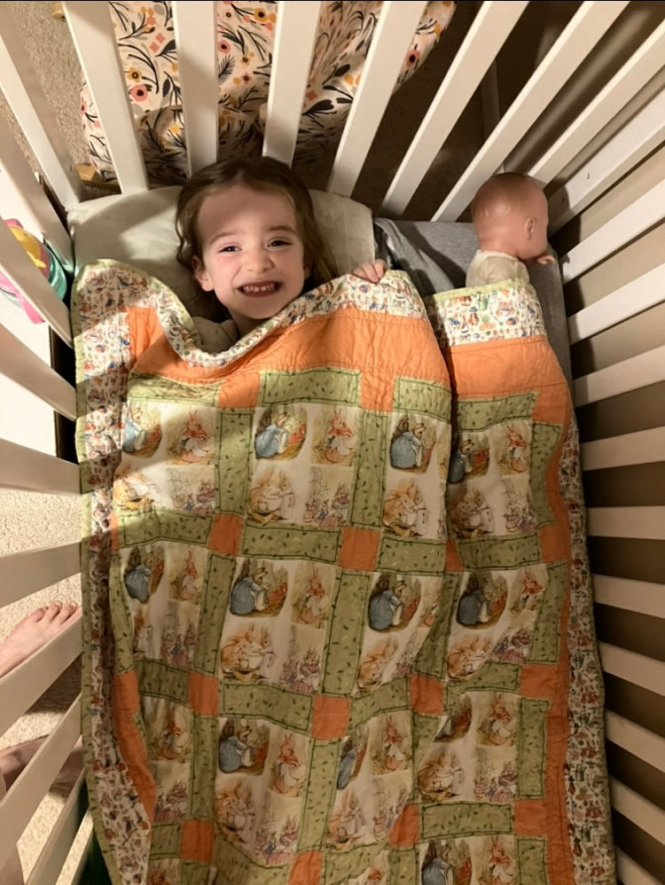 It’s Not About the Crib: What your Toddler’s Behavior really Means