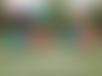 Dragon Tennis Starts Season With Three Victories