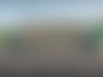 Pine City Hosts Sub-Section Track Meet