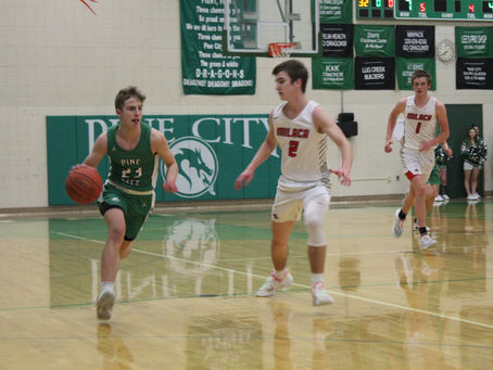 Dragons See win Streak Ended by Wolves